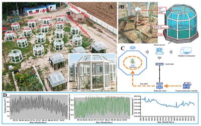 Effects of Elevated CO2 on Photosynthetic Accumulation, Sucrose Metabolism-Related Enzymes, and Genes Identification in Goji Berry (Lycium barbarum L.)